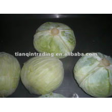2011 Hotsale Chinese Fresh Cabbages